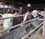 Семейное дело с размахом