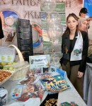 Семейная мастерская чудес