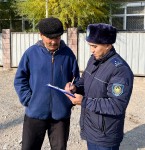 На страже спокойствия