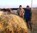 В режиме полной готовности