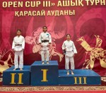 Когда дзюдо объединяет страны