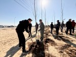 «Таза Қазақстан»: в городе Қонаев высадили 3000 деревьев