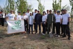 В городе Қонаев приступили к созданию экопарка «Барыс»