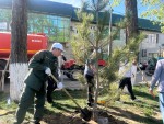 Сабақтастық пен тазалық символы: Іле ауданында «Таза өлке – таза жер» акциясы өтті