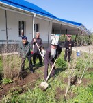 Когда пример важнее слов