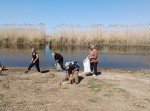 От двора до озера