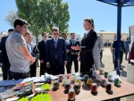 Реализация производственных  и инфраструктурных проектов
