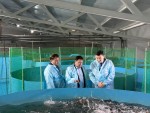 Алматы облысында балық зауыты ашылды