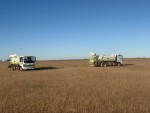 Заслон крылатому вредителю