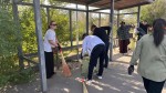 Очистим и сохраним окружающую нас среду