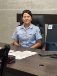Защита  от бытового насилия