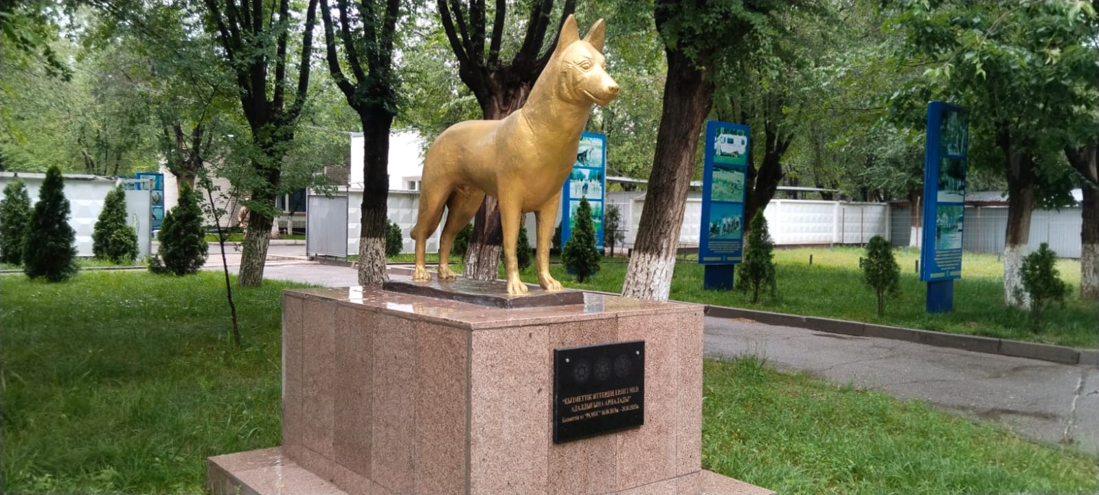 Шекара шебіндегі чемпион — Рамос