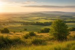 Земли возвращаются в оборот