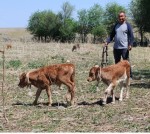 День животноводов – признание вклада аграриев в продовольственную безопасность страны