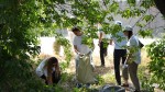 Іле ауданында «Таза Қазақстан» акциясы аясында ауқымды тазалық жұмыстары атқарылды