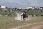 Фестиваль «Қымызмұрындық – 2026» посетили около 35 тысяч гостей