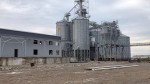 Зерно пойдет через «Қайрат»