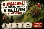 Внимание: высокая активность клещей в регионе