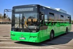 Больше автобусов -  короче интервалы