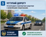Как действовать на месте