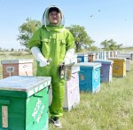 Сладкий урожай у подножия гор