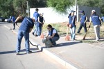 «Таза Қазақстан»: Более 22 тысяч жителей Алматинской области приняли участие в экологической акции