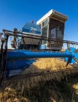 Урожайный сезон для местных аграриев