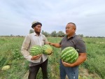 Земля щедра к трудолюбивым