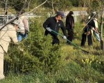 Показатель культуры сельчан