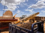 Выращенный в Конаеве картофель поступает на производство чипсов