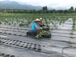 Расцветающее дело семьи Парфеновых