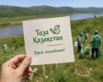 Зеленые зоны нуждаются в постоянном уходе