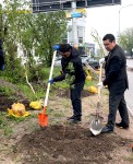 Четверг большой уборки