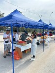 Ярмарки в день выборов