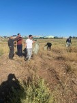Большая уборка главного городского пляжа