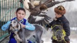 Символы  Великой степи