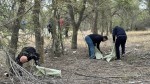 В семь утра - на уборку
