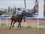 Триумф Казахстана в аламан бәйге на VI Всемирных играх кочевников, проходящих в Кыргызстане