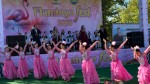 В Акмолинской области начался второй культурно-туристический фестиваль Flamingo Fest