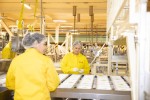 Контейнеры пошли через Илийский район