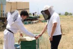 От сырья к готовой продукции