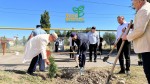 В Алатау формируется аллея «Адал қоғам»