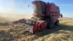 Балқаш ауданында күріш жинау науқаны басталды