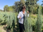 Оставить добрый след