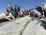 Зарыбление - сильная экосистема водоема