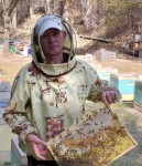 С пчелами на одном языке