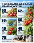 Алматы облысы: Еңбекшіқазақ ауданында жылына шамамен 50 мың тонна алма жиналады