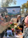 ІЛЕ АУДАНЫНДА «ДАЛА ДӘМІ» ЖӘРМЕҢКЕСІ ӨТІП ЖАТЫР