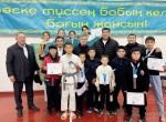 В Жылысай День Республики отметили спортивными победами