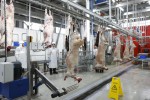 Алматы облысында ірі ет өңдеу зауыты іске қосылды
